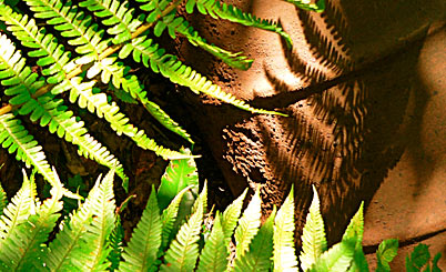 免费ddos攻击网页端